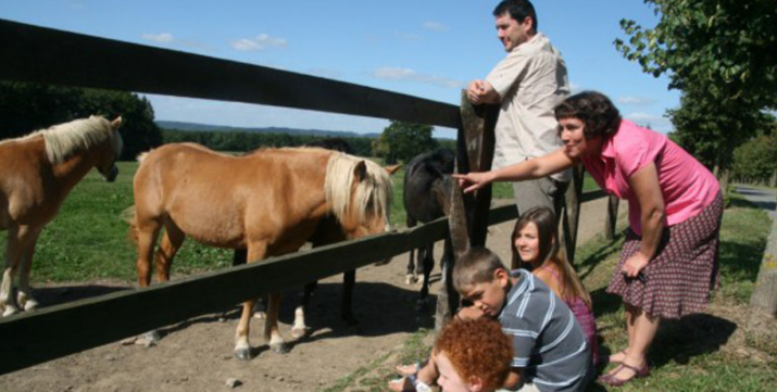 Paarden boerderij la Comogne