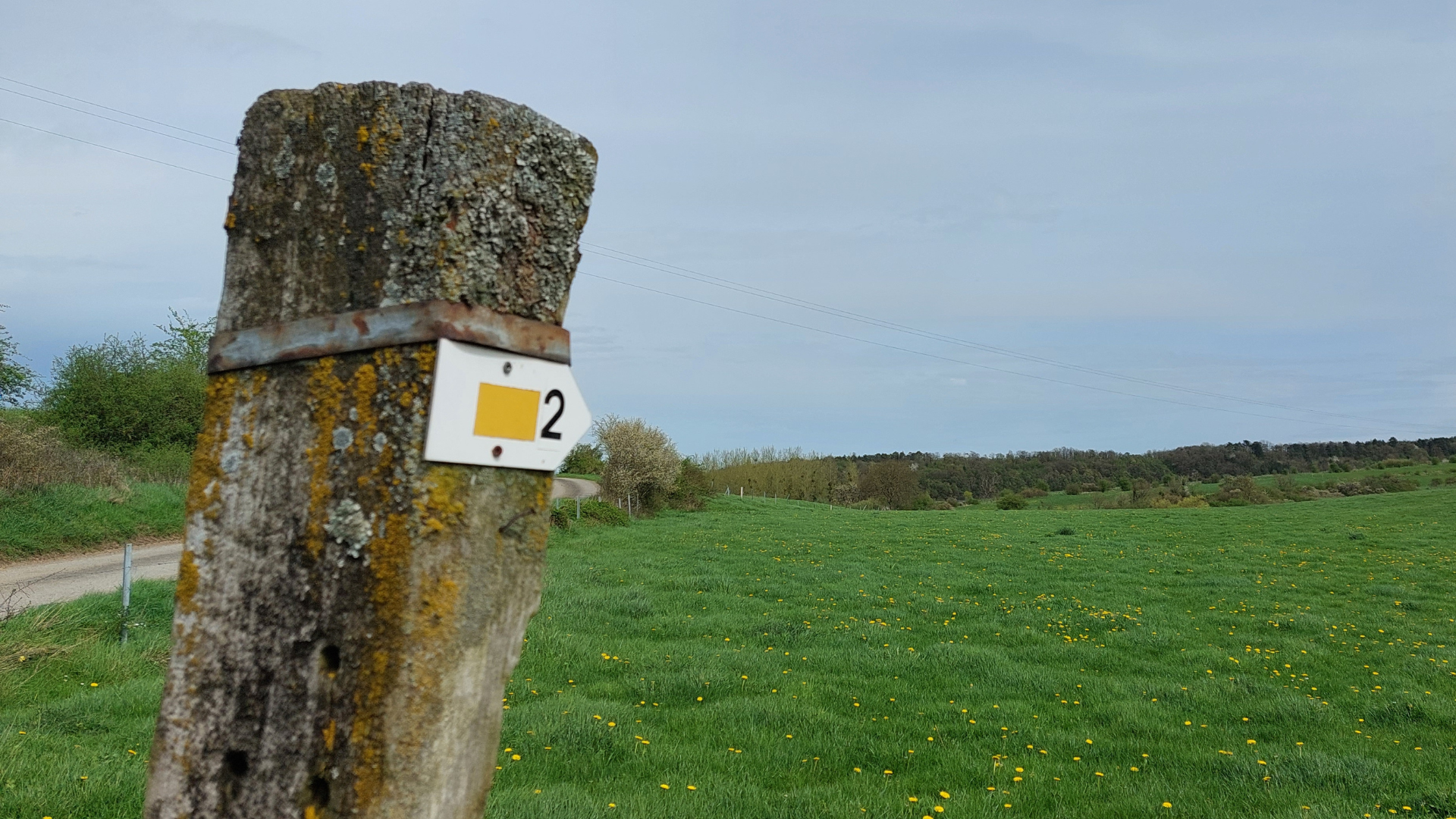 Parrains de promenades : un rôle essentiel pour nos sentiers