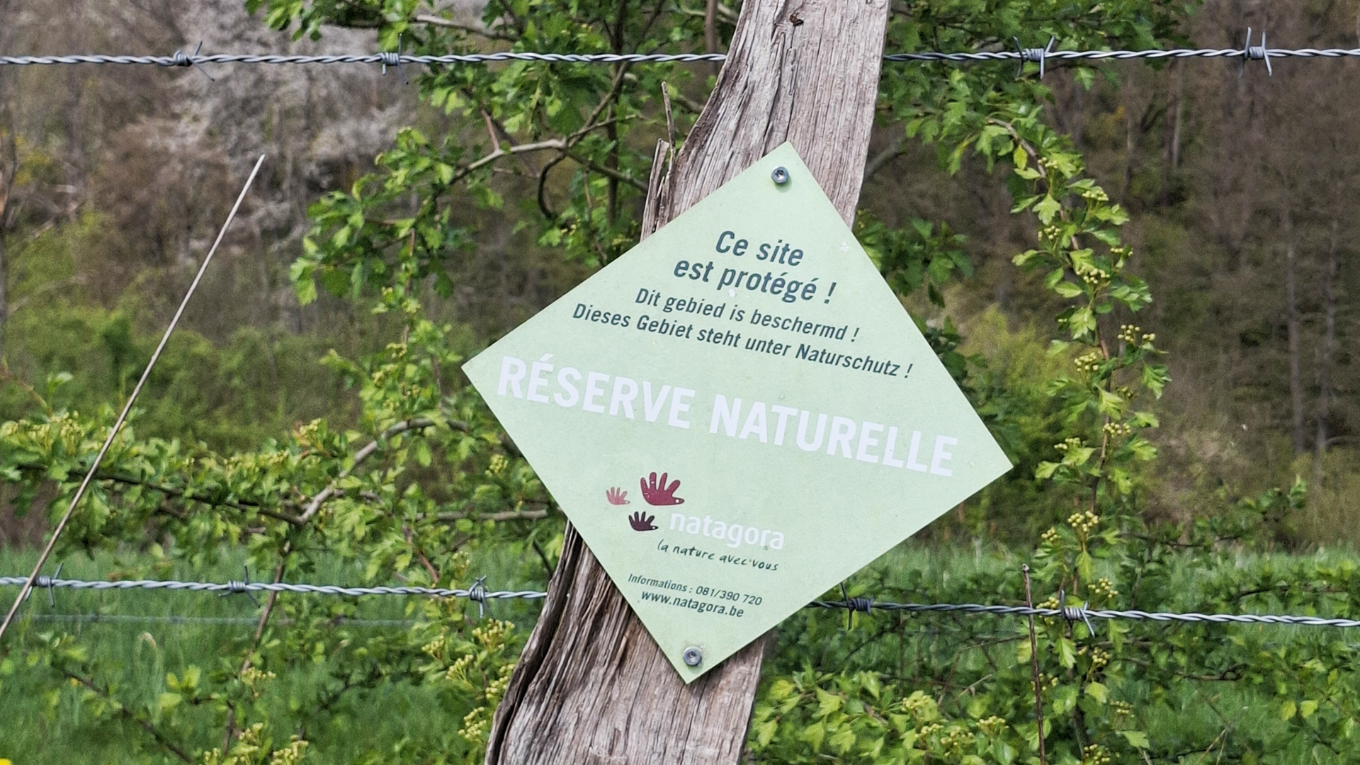 Exploring the Natagora Nature Reserves in Beauraing