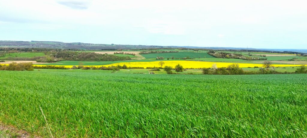Ferme Halleux Benoît