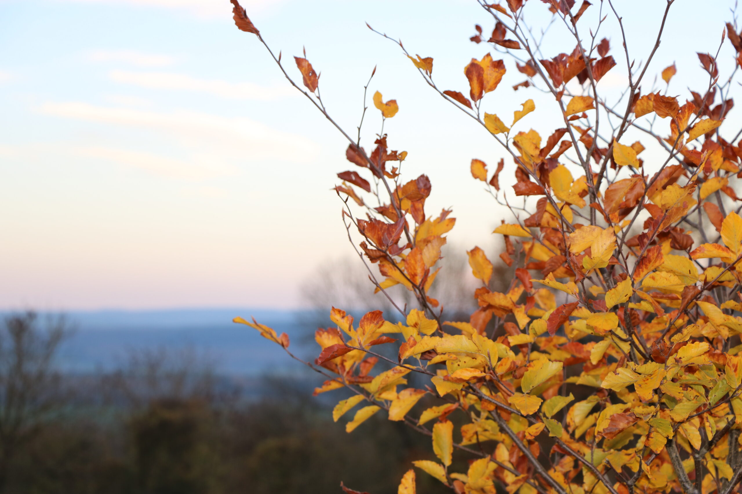 Experience Autumn in Beauraing: Slow Tourism and Wonder