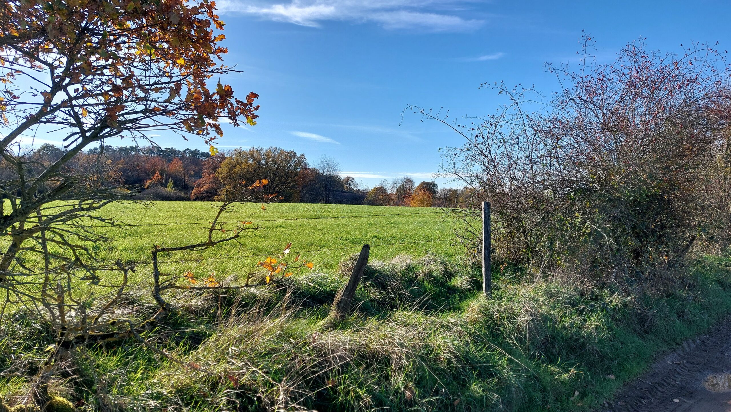 Baronville – Langs de Hileau en de molenwandeling