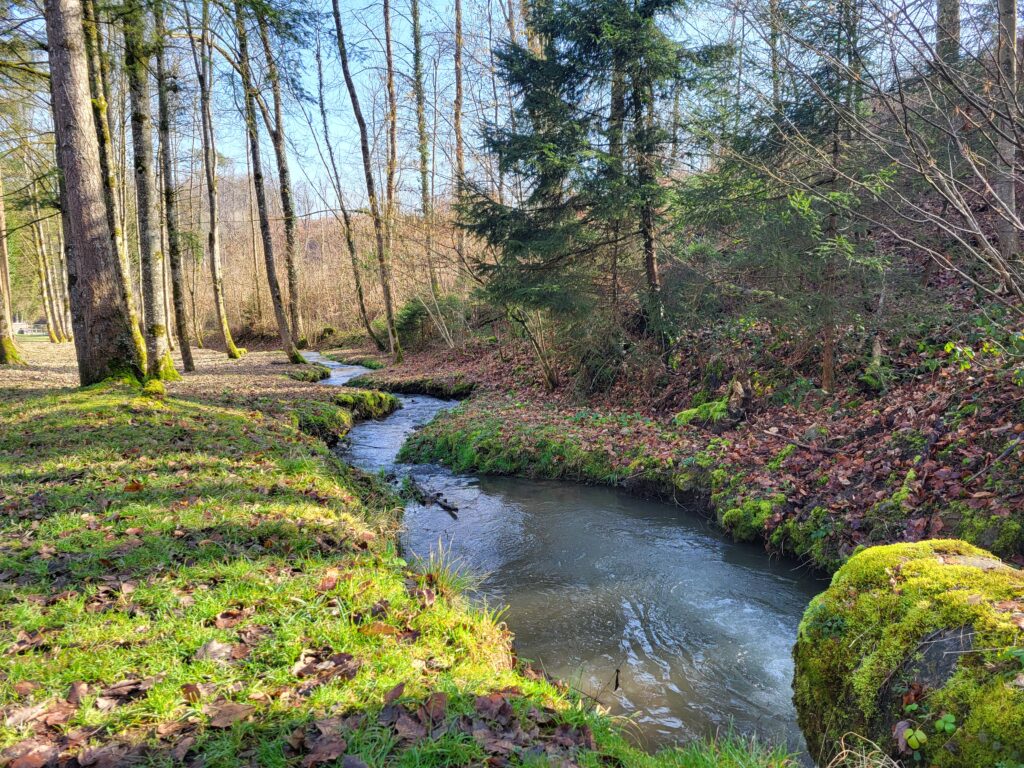 Le Biran au Parc du Castel
