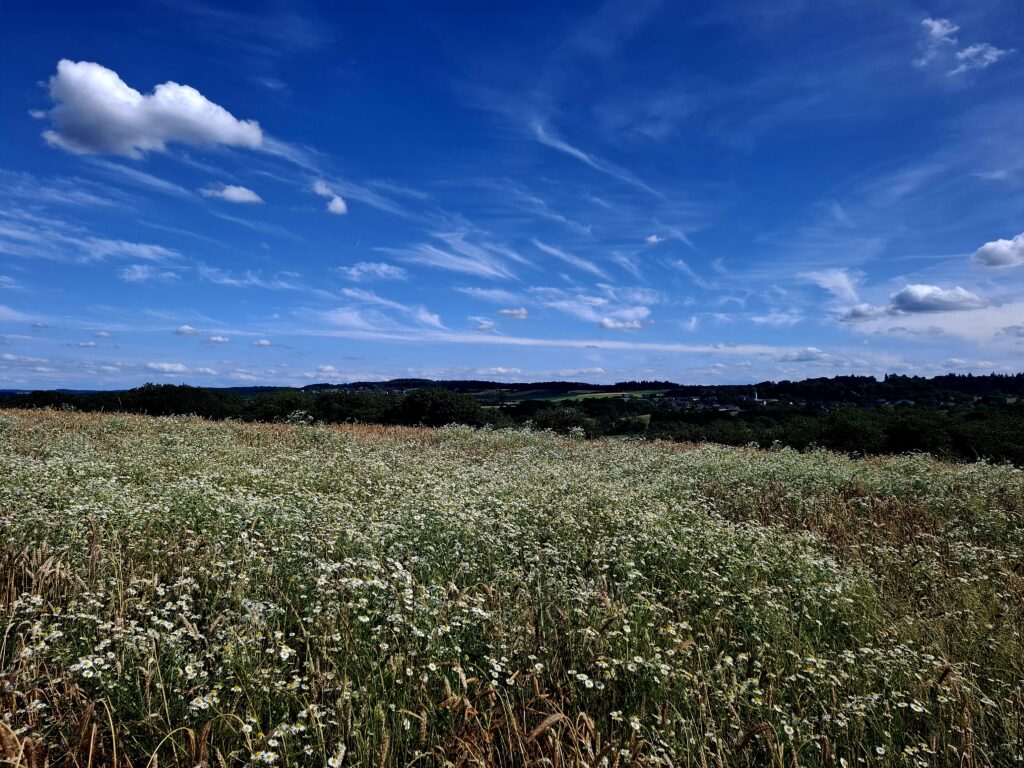 Paysage Beauraing