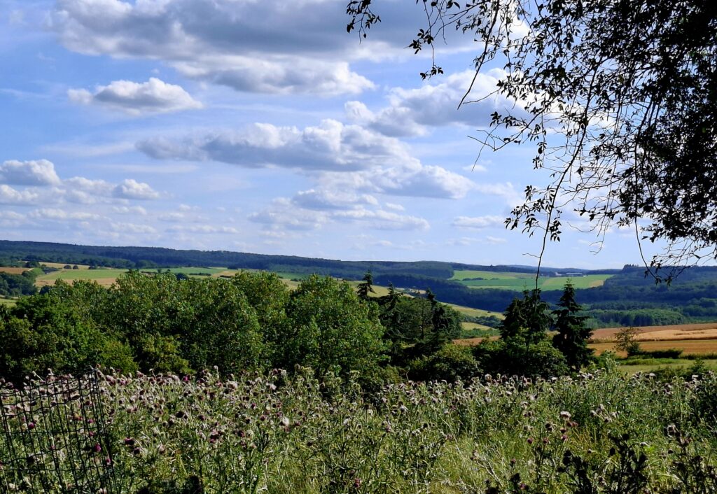 Paysage Famenne Ardenne à Beauraing